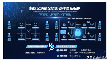 區(qū)塊鏈技術(shù)前沿 隱私計(jì)算深度解析及其在軟件服務(wù)中的應(yīng)用